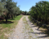 Dependance Elide holiday home near Tropea – photo 56