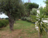 Dependance Elide holiday home near Tropea – photo 54