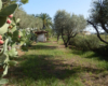 Dependance Elide holiday home near Tropea – photo 37
