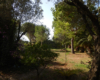 Dependance Elide holiday home near Tropea – photo 35